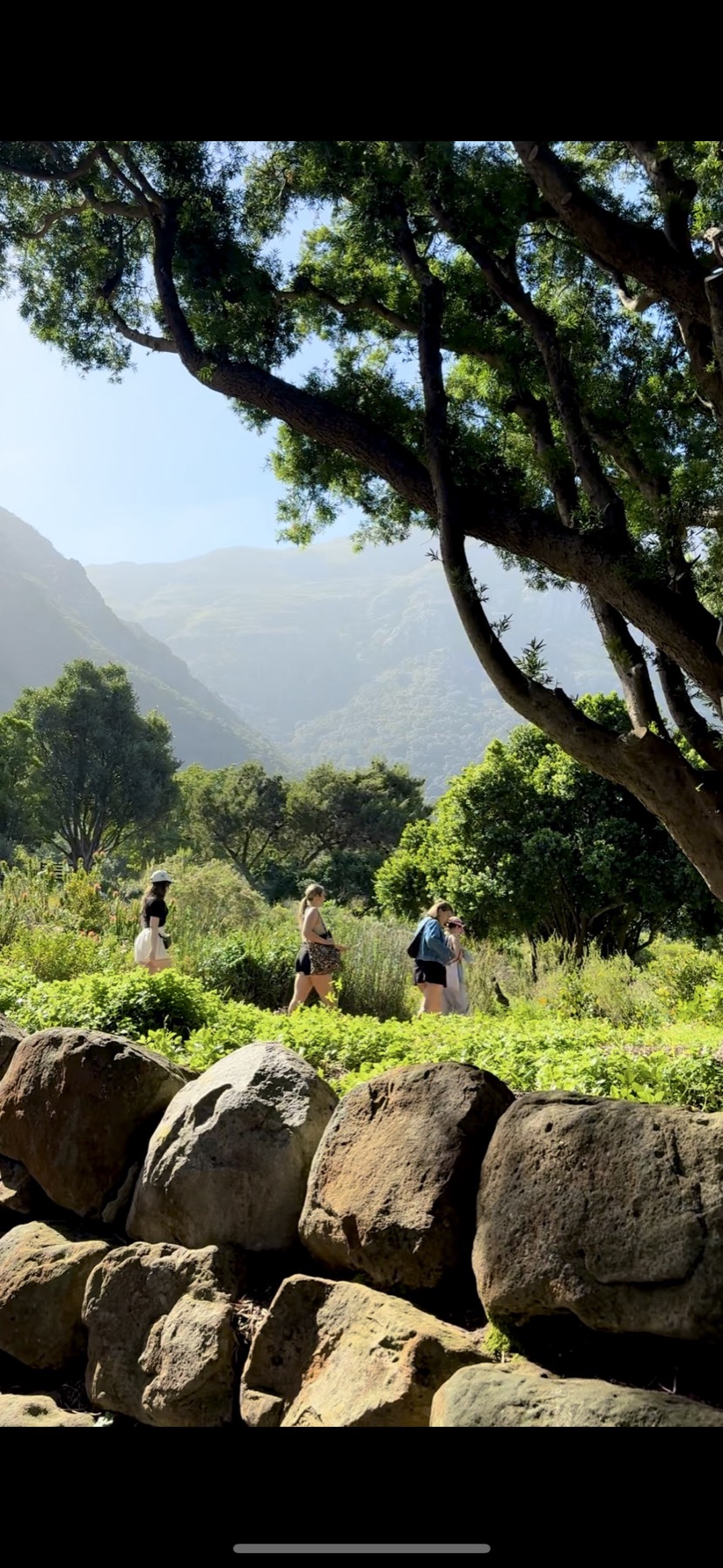 Botanischer Garten Kirstenbosch in Kapstadt